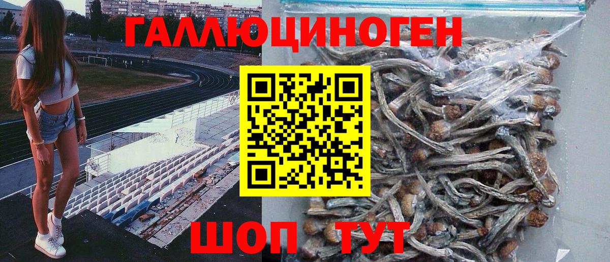 Псилоцибиновые грибы мухоморы Одинцово